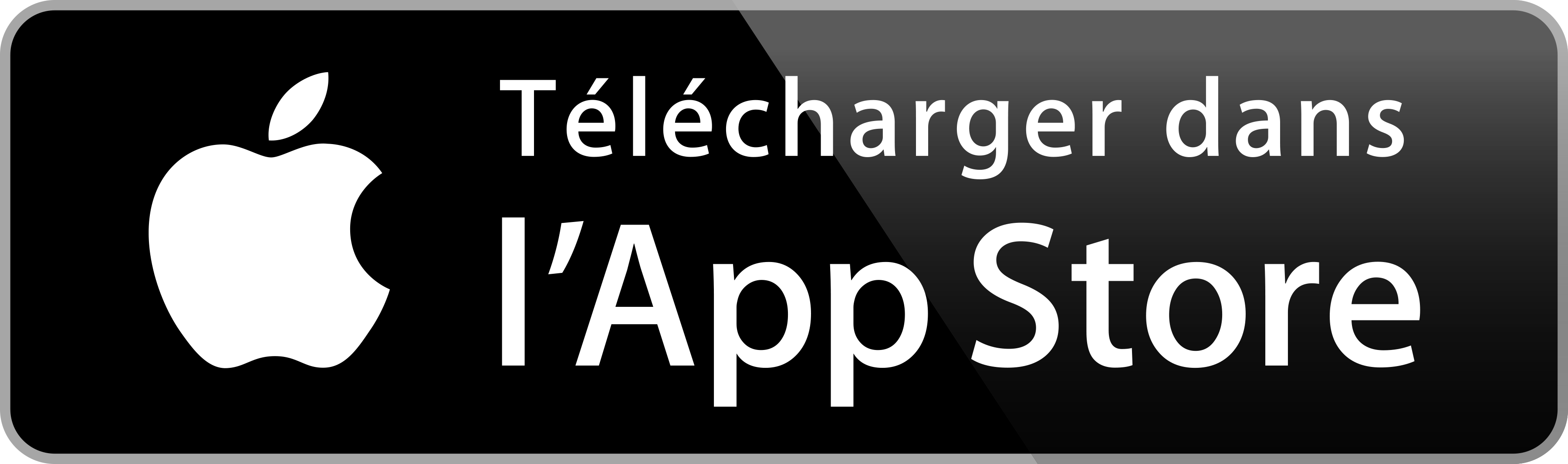 Télécharger dans l'app store